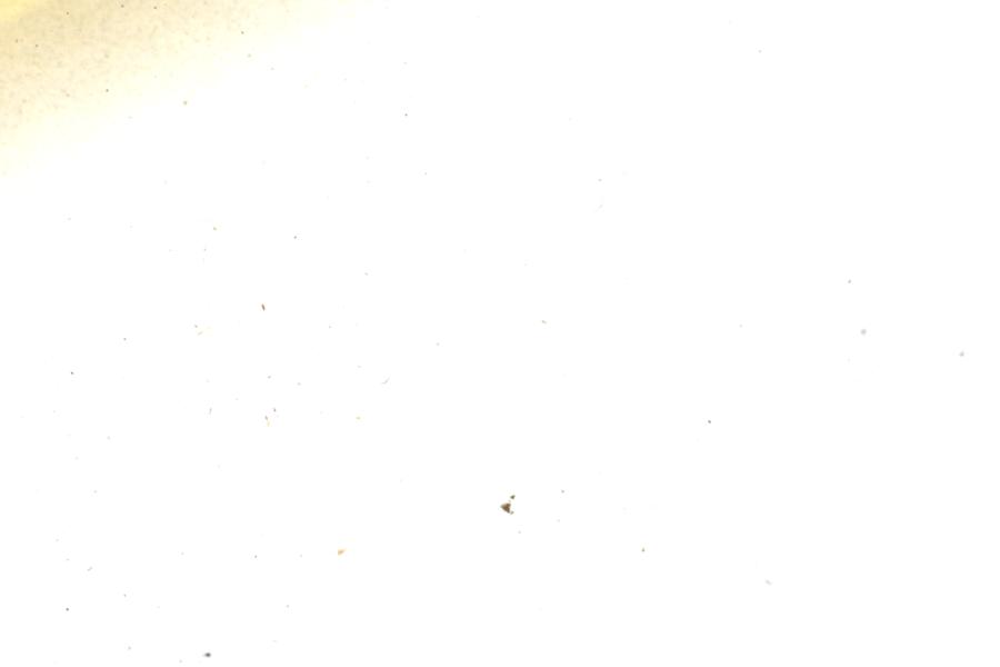 Image 39
